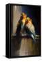 Lovebirds I-Vivienne Dupont-Framed Stretched Canvas
