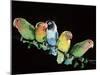 Lovebirds X Five on Branch-null-Mounted Photographic Print
