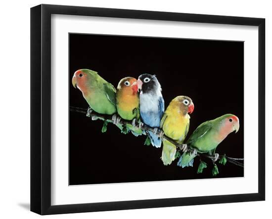Premium Photographic Print, , large