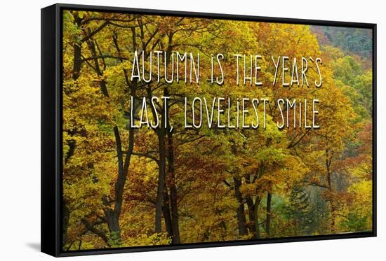 Loveliest Smile-Cora Niele-Framed Stretched Canvas