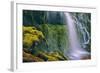 Loveliness at the Base of Proxy Falls, Central Oregon-null-Framed Photographic Print