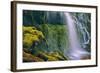 Loveliness at the Base of Proxy Falls, Central Oregon-null-Framed Photographic Print