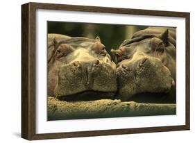 Lovely Affair-Andre Villeneuve-Framed Photographic Print