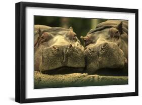 Lovely Affair-Andre Villeneuve-Framed Photographic Print