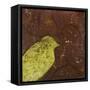 Lovely Birds V-Patricia Pinto-Framed Stretched Canvas