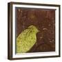 Lovely Birds V-Patricia Pinto-Framed Art Print