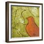 Lovely Birds VI-Patricia Pinto-Framed Art Print