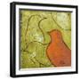 Lovely Birds VI-Patricia Pinto-Framed Art Print