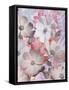 Lovely Bloom 2-Matina Theodosiou-Framed Stretched Canvas