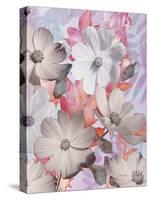 Lovely Bloom 2-Matina Theodosiou-Stretched Canvas