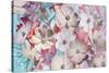 Lovely Blossoms-Matina Theodosiou-Stretched Canvas