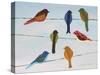 Lovely Colorful Birds On Wires 1-Jean Plout-Stretched Canvas