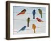 Lovely Colorful Birds On Wires 1-Jean Plout-Framed Giclee Print