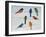 Lovely Colorful Birds On Wires 1-Jean Plout-Framed Giclee Print