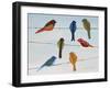Lovely Colorful Birds On Wires 1-Jean Plout-Framed Giclee Print