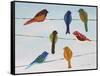 Lovely Colorful Birds On Wires 1-Jean Plout-Framed Stretched Canvas