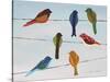 Lovely Colorful Birds On Wires 1-Jean Plout-Stretched Canvas