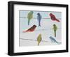 Lovely Colorful Birds On Wires 2-Jean Plout-Framed Giclee Print