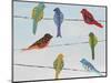 Lovely Colorful Birds On Wires 2-Jean Plout-Mounted Giclee Print