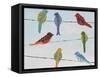 Lovely Colorful Birds On Wires 2-Jean Plout-Framed Stretched Canvas