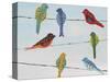 Lovely Colorful Birds On Wires 2-Jean Plout-Stretched Canvas