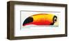 Lovely Day Toucan-null-Framed Art Print