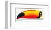 Lovely Day Toucan-null-Framed Art Print