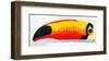 Lovely Day Toucan-null-Framed Art Print