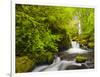 Lovely Elowah Falls on Mccord Creek in the Spring, in the Columbia Gorge, Oregon, USA-Gary Luhm-Framed Photographic Print