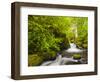 Lovely Elowah Falls on Mccord Creek in the Spring, in the Columbia Gorge, Oregon, USA-Gary Luhm-Framed Photographic Print