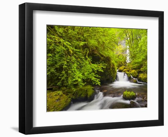 Lovely Elowah Falls on Mccord Creek in the Spring, in the Columbia Gorge, Oregon, USA-Gary Luhm-Framed Photographic Print