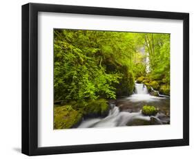 Lovely Elowah Falls on Mccord Creek in the Spring, in the Columbia Gorge, Oregon, USA-Gary Luhm-Framed Photographic Print