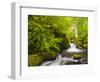 Lovely Elowah Falls on Mccord Creek in the Spring, in the Columbia Gorge, Oregon, USA-Gary Luhm-Framed Photographic Print