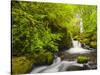 Lovely Elowah Falls on Mccord Creek in the Spring, in the Columbia Gorge, Oregon, USA-Gary Luhm-Stretched Canvas