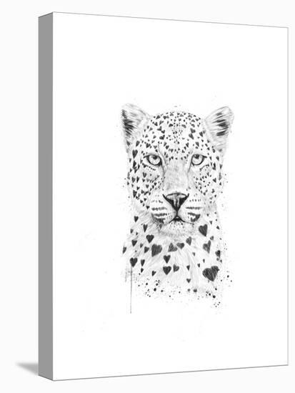 Lovely Leopard-Balazs Solti-Stretched Canvas