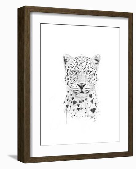 Lovely Leopard-Balazs Solti-Framed Art Print