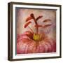 Lovely Lily I-Anna Polanski-Framed Art Print