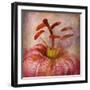 Lovely Lily I-Anna Polanski-Framed Art Print