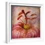 Lovely Lily I-Anna Polanski-Framed Art Print