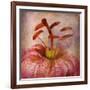 Lovely Lily I-Anna Polanski-Framed Art Print