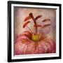 Lovely Lily I-Anna Polanski-Framed Art Print