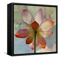 Lovely Lily II-Anna Polanski-Framed Stretched Canvas