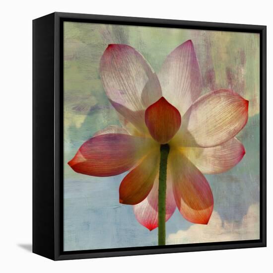 Lovely Lily II-Anna Polanski-Framed Stretched Canvas