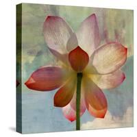 Lovely Lily II-Anna Polanski-Stretched Canvas