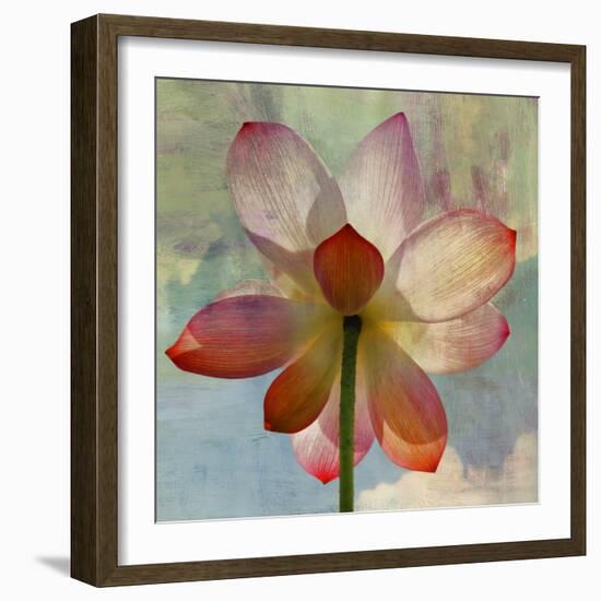 Lovely Lily II-Anna Polanski-Framed Art Print