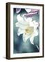 Lovely Lily - Thrive-Ella Lancaster-Framed Giclee Print