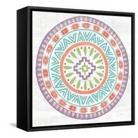 Lovely Llamas Mandala II-Mary Urban-Framed Stretched Canvas