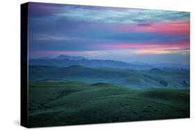 Lovely Morning in the the Coastal Hills, Northern California-null-Stretched Canvas