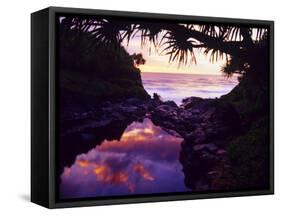 Lovely Oheo Gulch meets the Pacific in Haleakala National Park, Maui, Hawaii-Jerry Ginsberg-Framed Stretched Canvas