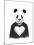 Lovely Panda-Balazs Solti-Mounted Art Print